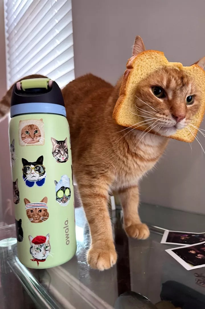 Owala - Cat Collage UO Exclusive FreeSip 32 oz Water Bottle